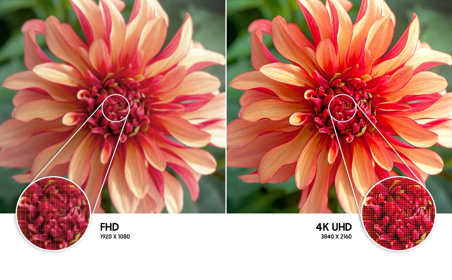 tw feature feel the reality of 4k uhd resolution 425589159